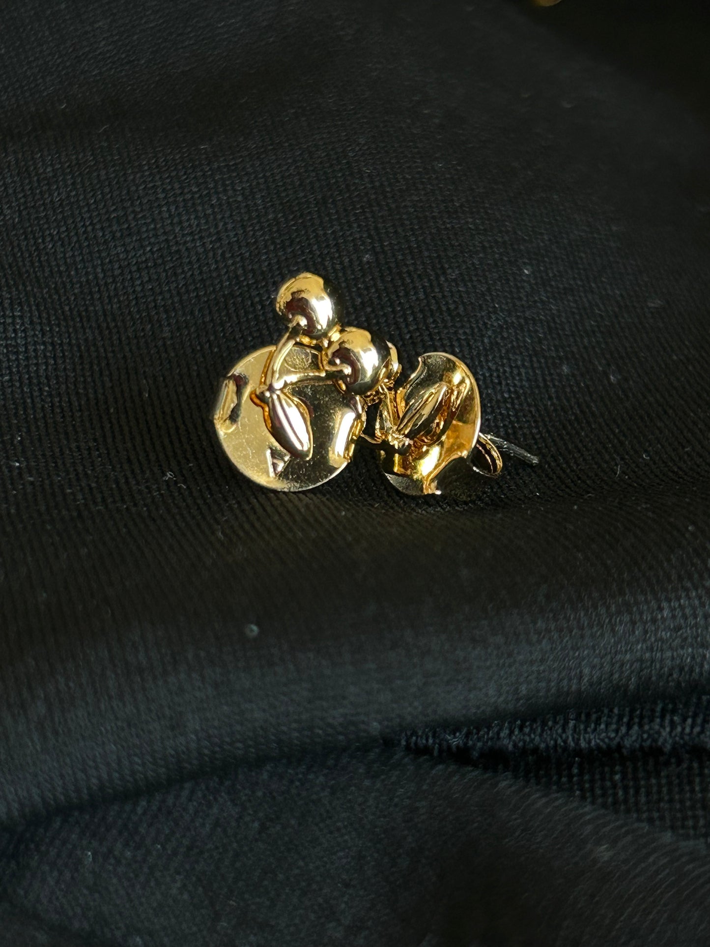 AROS CEREZA