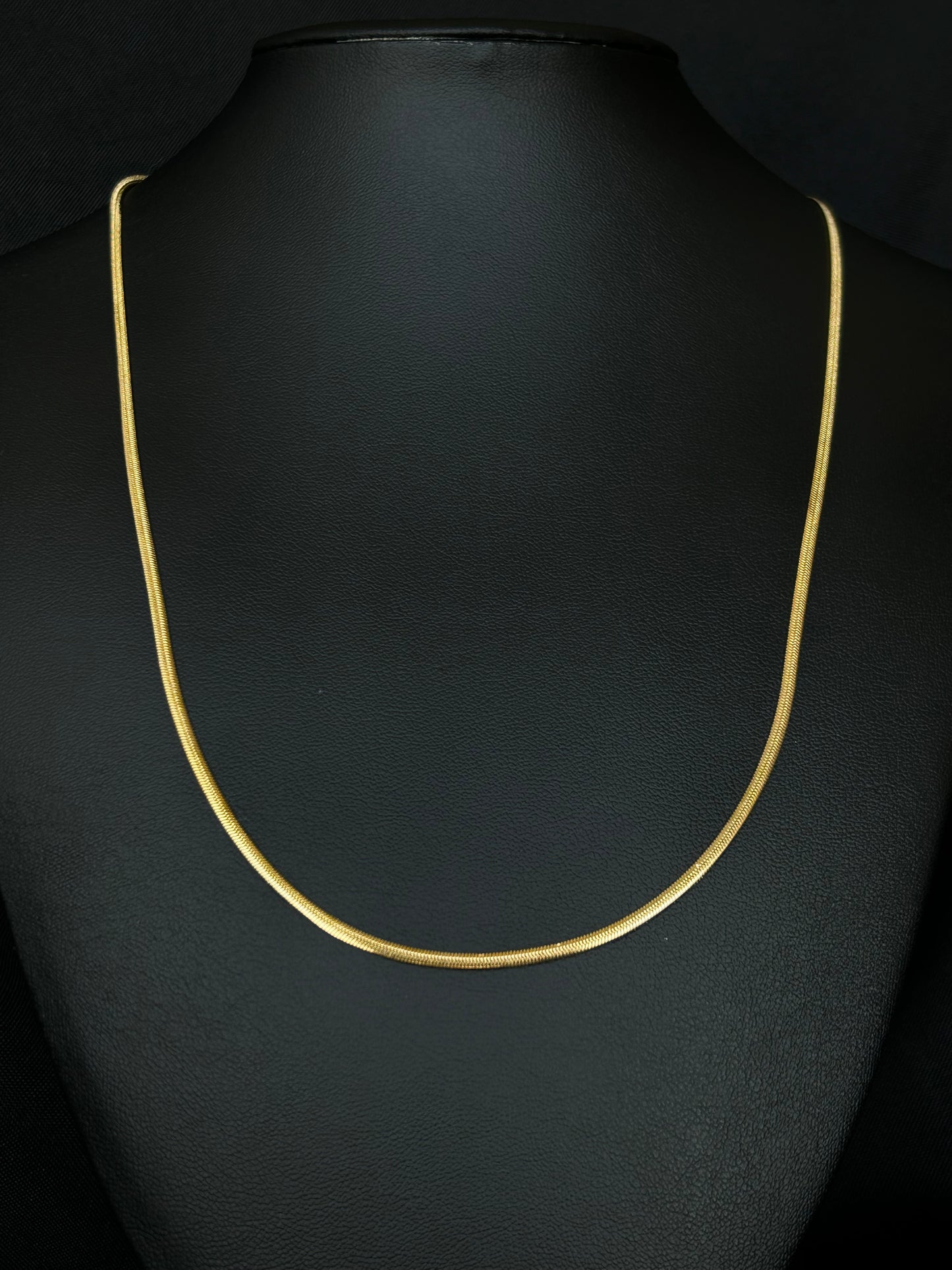 COLA DE SERPIENTE 60 CM - 2 MM